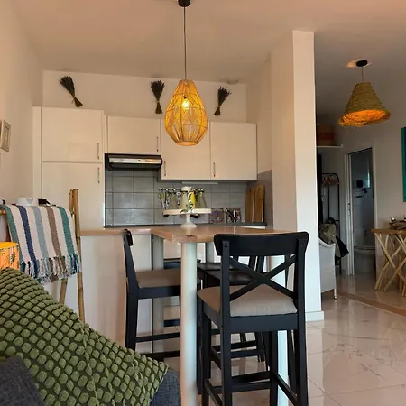 Large Luxury With Garden View Over The Ocean 아파트 앙티브